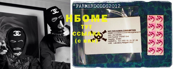 индика Семилуки